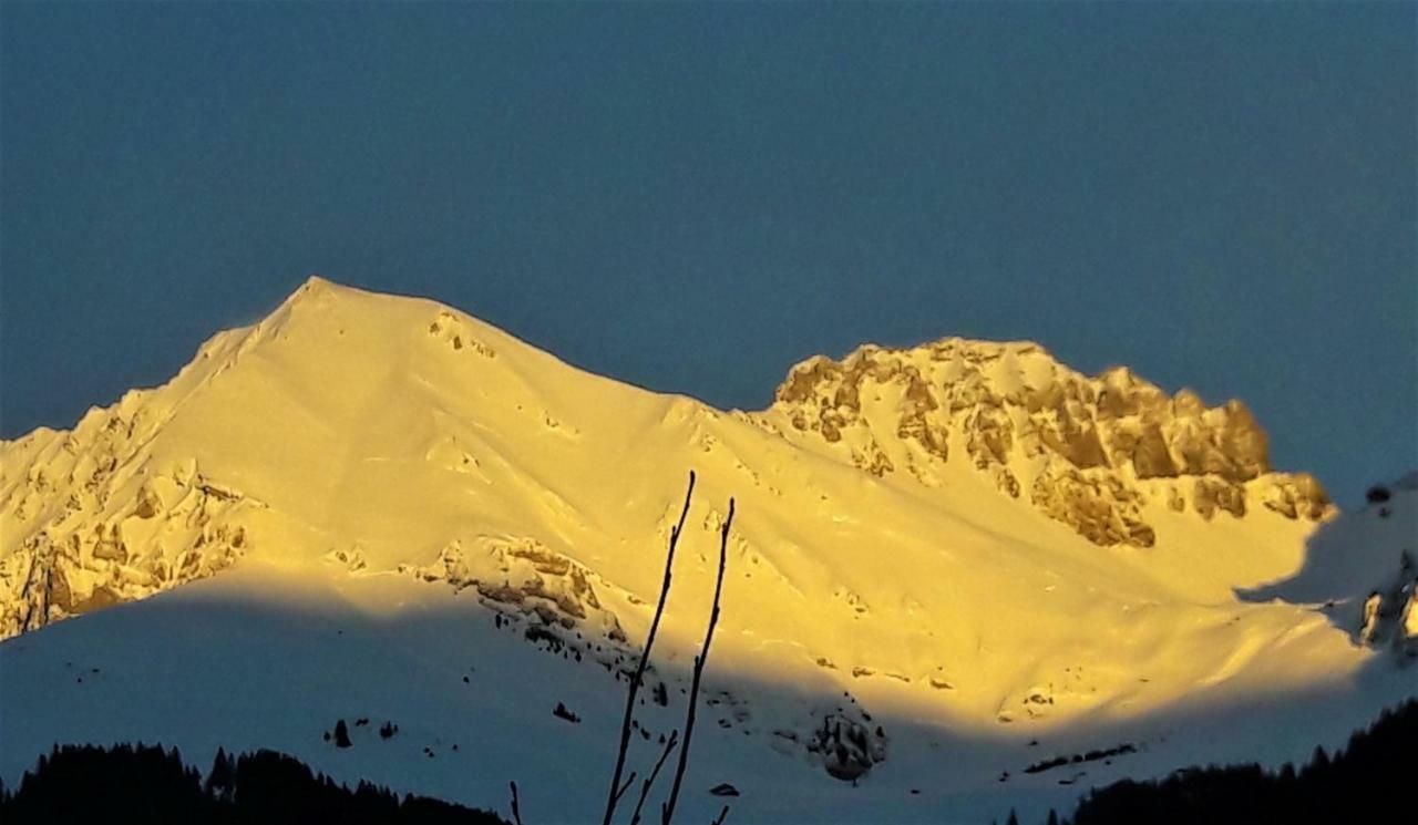 Laubrinus Appartement Adelboden Buitenkant foto